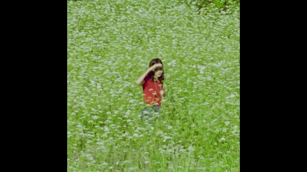 (free) clairo + men i trust + indie type beat - "pink flowers"