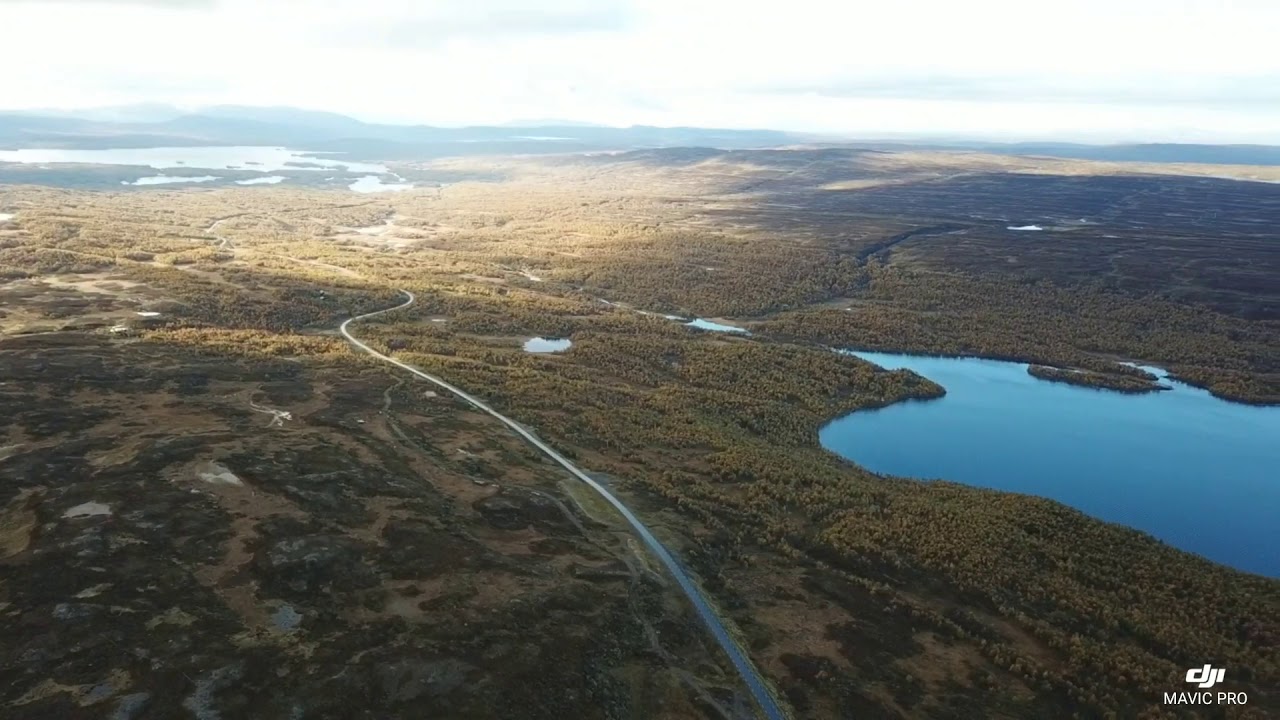 Høst i Stuggudal og Tydal