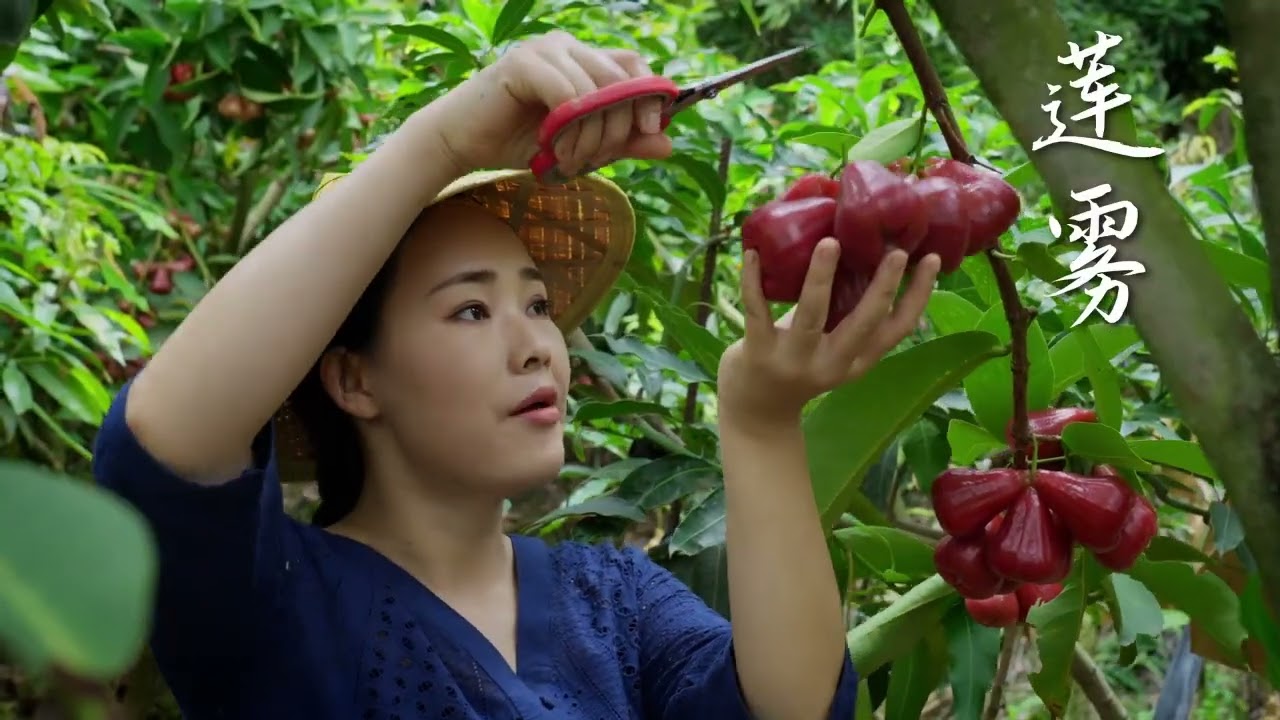 🌸Chinesas Colhendo Frutas Ex&oacute;ticas 🍓🍇🍑 Uma Explos&atilde;o de Cores e Sabores!✨ #Colheita #Natureza #China