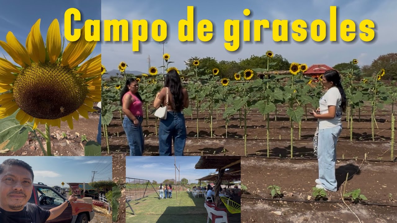 Nos encontramos un rinconcito muy bonito que debes visitar en Guerrero 