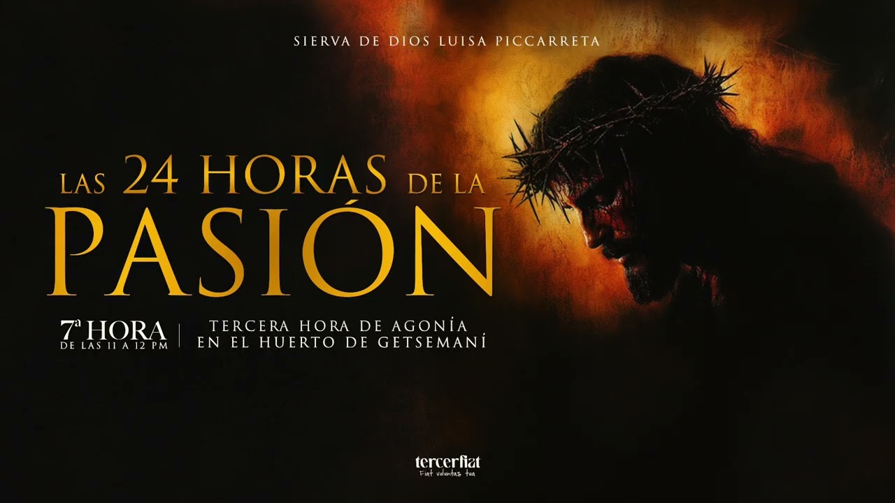 7ª  HORA | TERCERA HORA DE AGONÍA EN EL HUERTO DE GETSEMANÍ