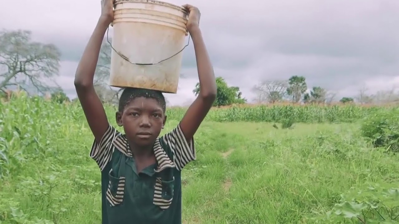 FOR AFRICA - Shadow Boxxer Ft. Tumi Lane (Official Video)