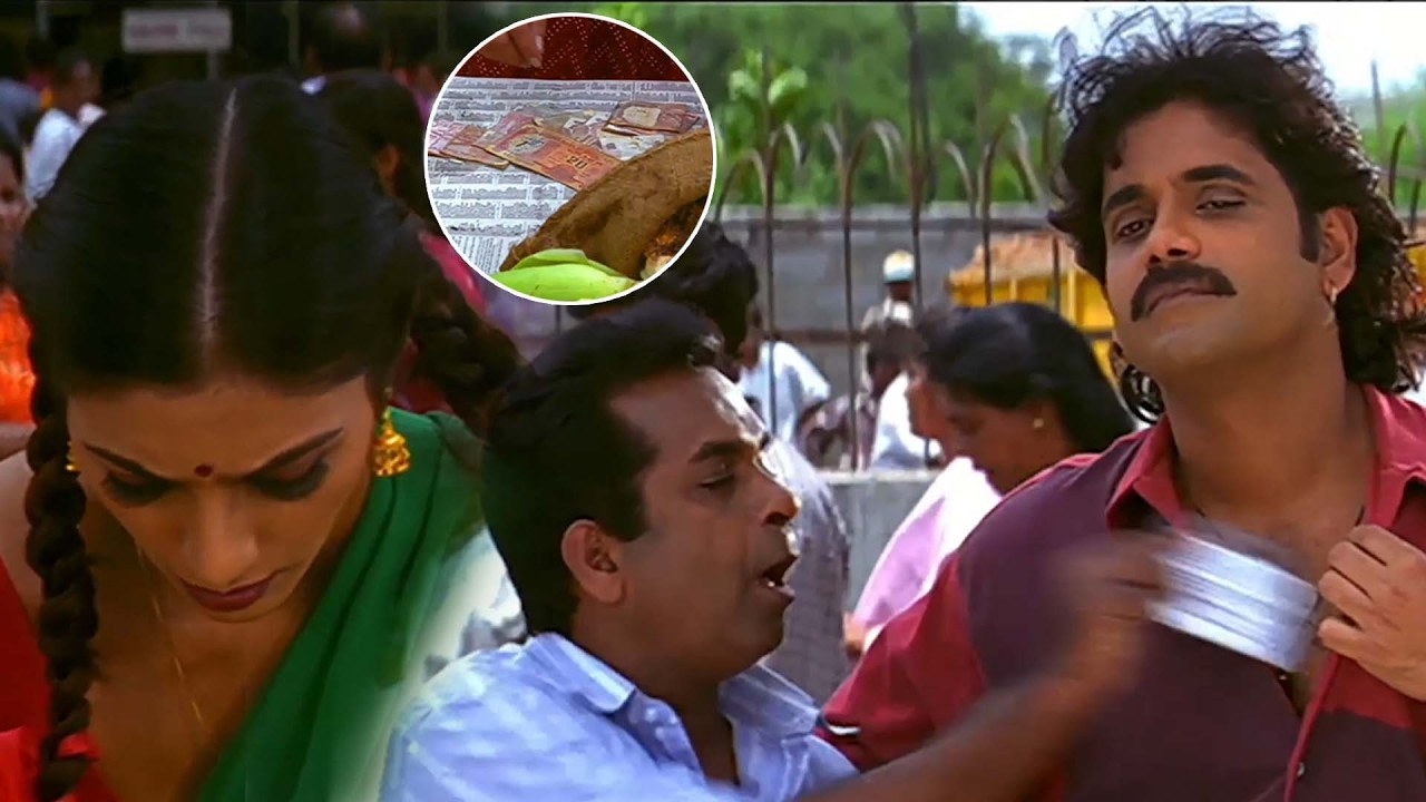 Nagarjuna ,Tabu and Heera Ultimate Comedy Scenes | Avida Maa Avide Movie Scenes @idreamkhammam