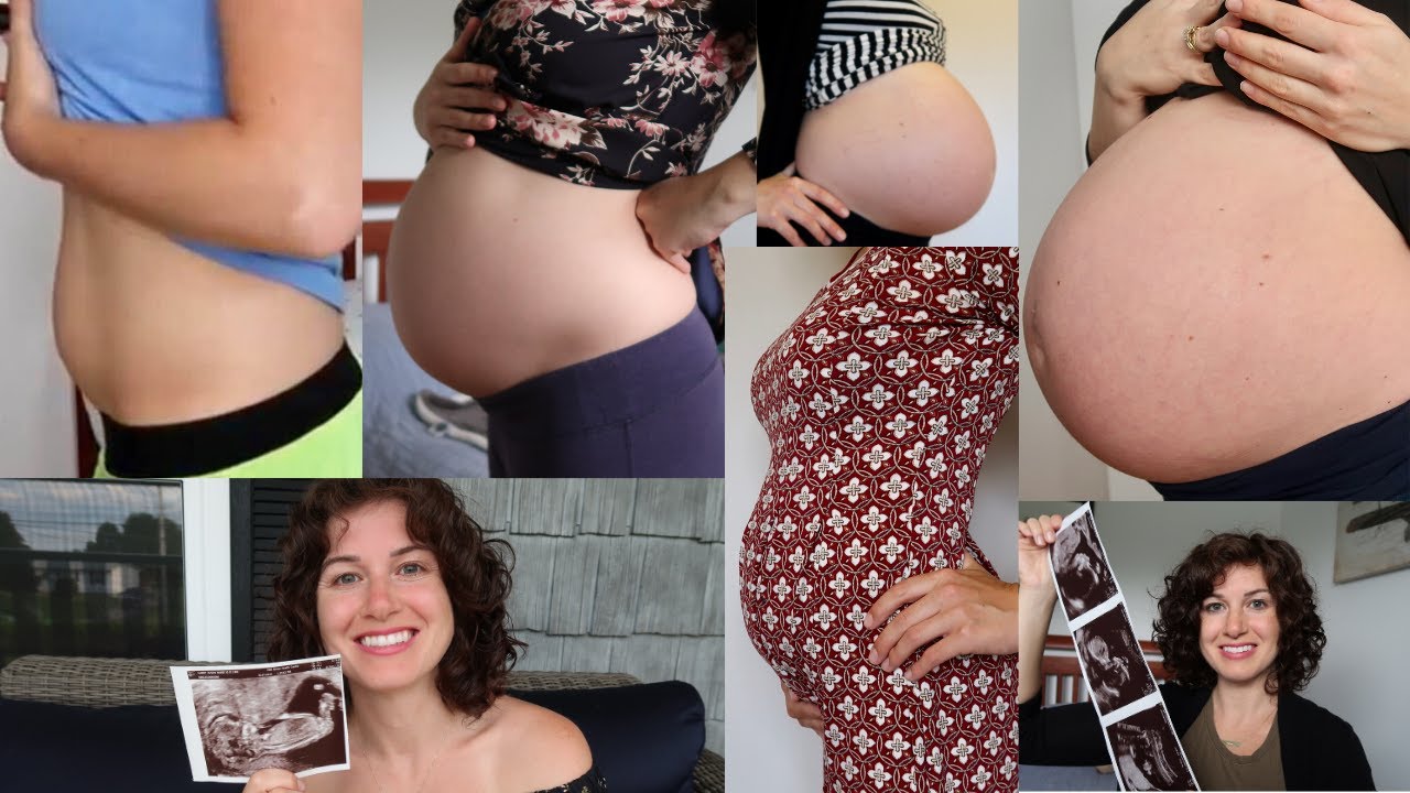 Pregnancy Bump Progression Video | Weeks12 - 35