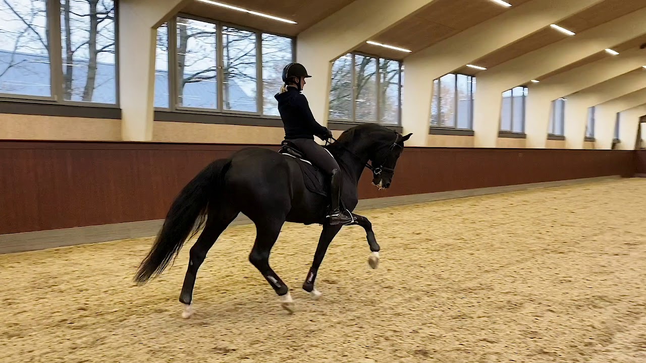 Blue Hors St. Schufro