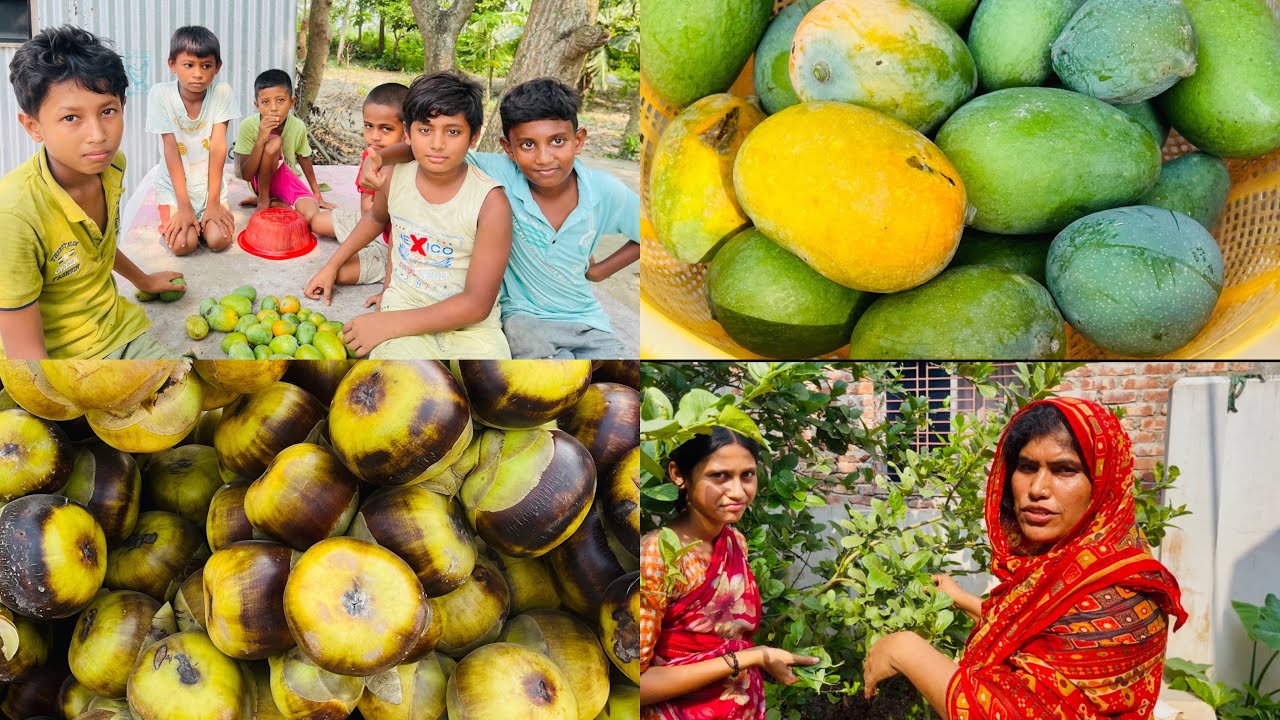 আম-কাঠাঁলের মৌসুমে গ্রামের বাড়িতে না গেলে কি হয়, তাই ভাবতেছি কিছুদিনের জন্য বাড়িতে বেড়াতে চলে যাবো