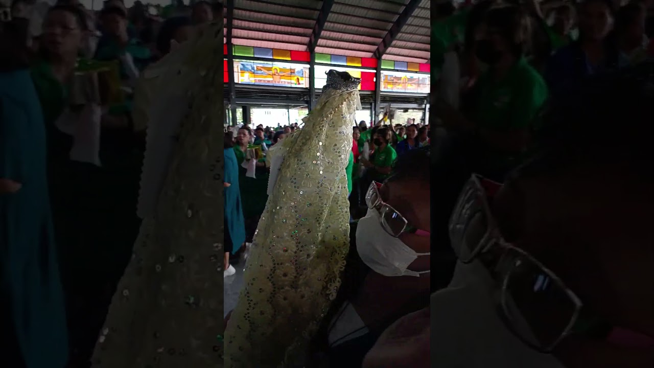 Mama Mary Procession pray for us 