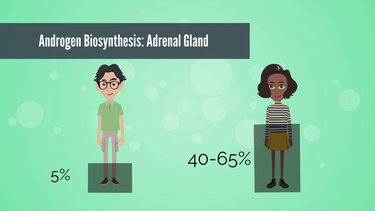 APGO Basic Sciences - Topic 13: Hirsutism