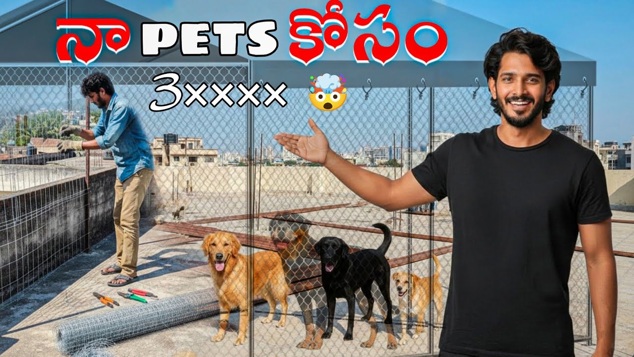 Na dogs kosam 3××××₹ పెట్టే ఐరన్ షెడ్ వేయిస్తున్న |I am building a shed for dogs.🐶 @AlwaysNani310 