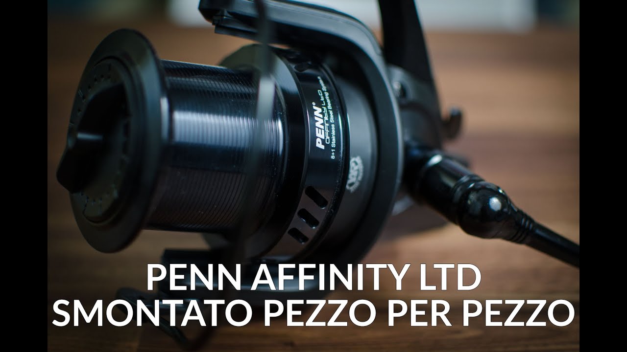 Mulinello Penn Affinity 8000 LTD: SMONTATO pezzo per pezzo