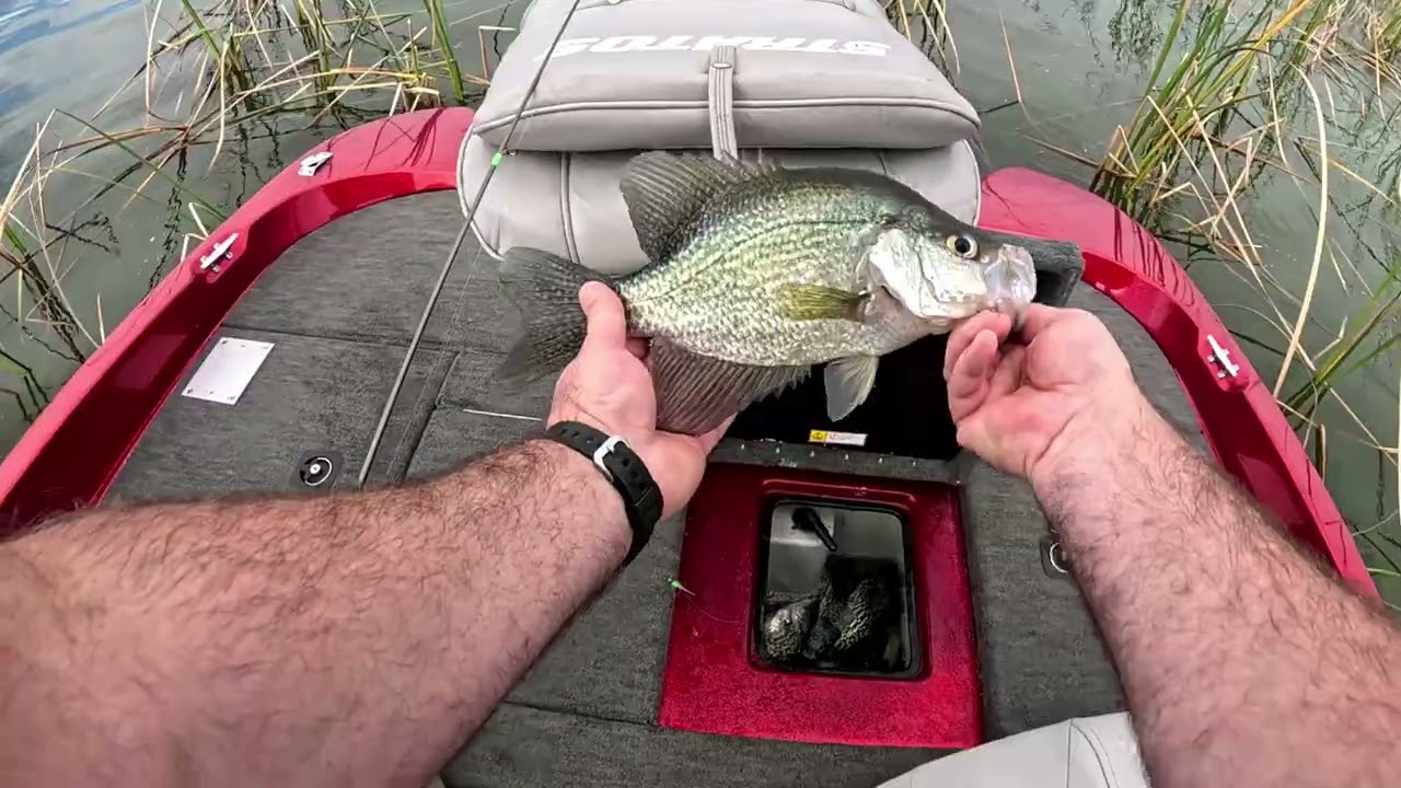 Part 2#fishing #florida #specks #saciliat #407 #howto #boats