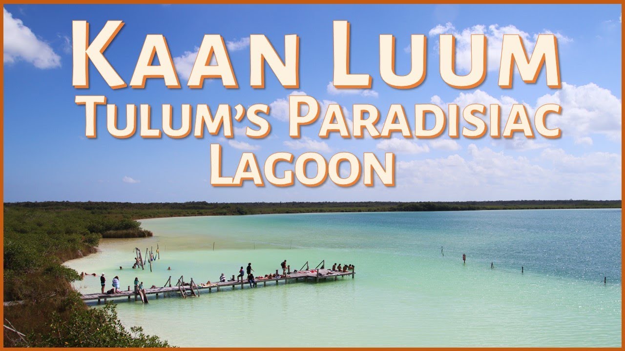 Tulum's Paradisiac Blue Hole 🌊 Kaan Luum Lagoon 🌴 Travel & Adventure in Mexico's Yucatán Peninsula