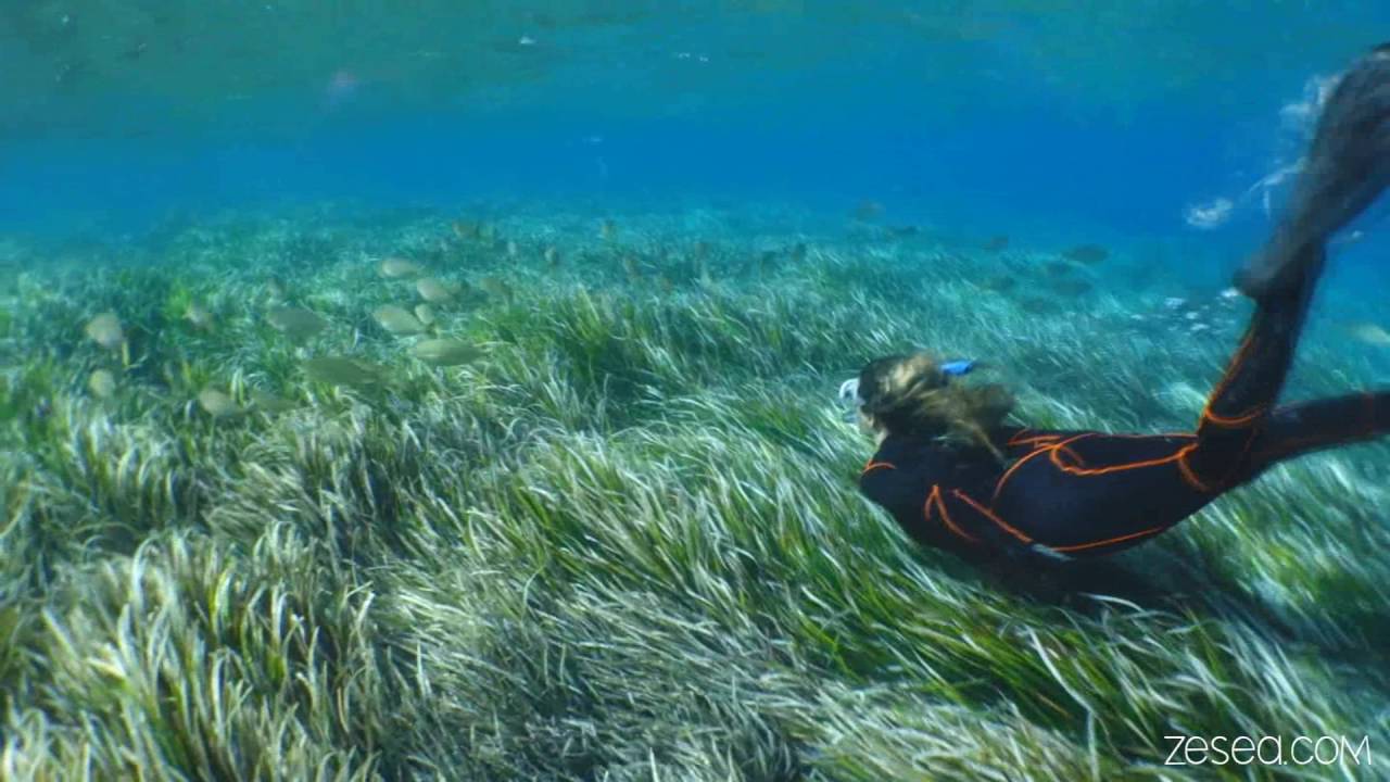Snorkeling à Port Cros