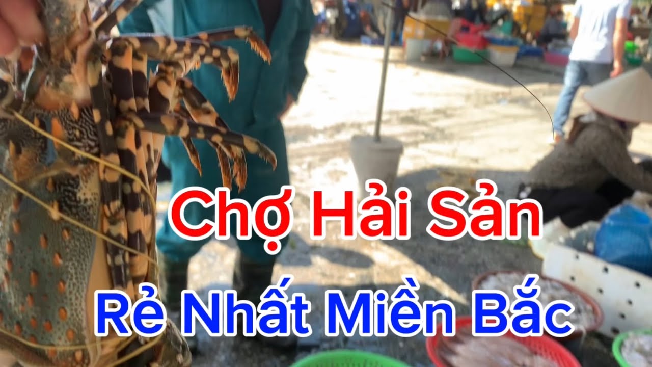 Cảng cá Tân Sơn lớn nhất Thái Bình giá rẻ bất ngờ./Tan Son, Thai Binh fishing port