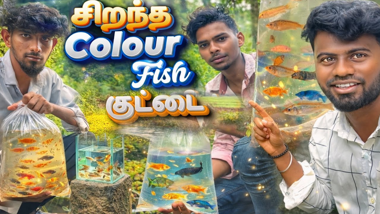 🐠 🐟 Colour fish நோக்கி ஒரு பயணம் 🫣 | Fish catching| balasvoyage 