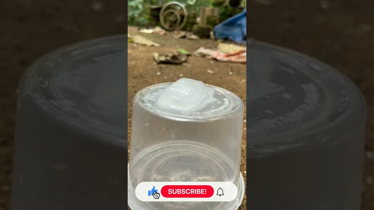 🔰Steel glass vs Normal Plastic Glass Ice cube experiment in sunset see what happened🥛🥃 