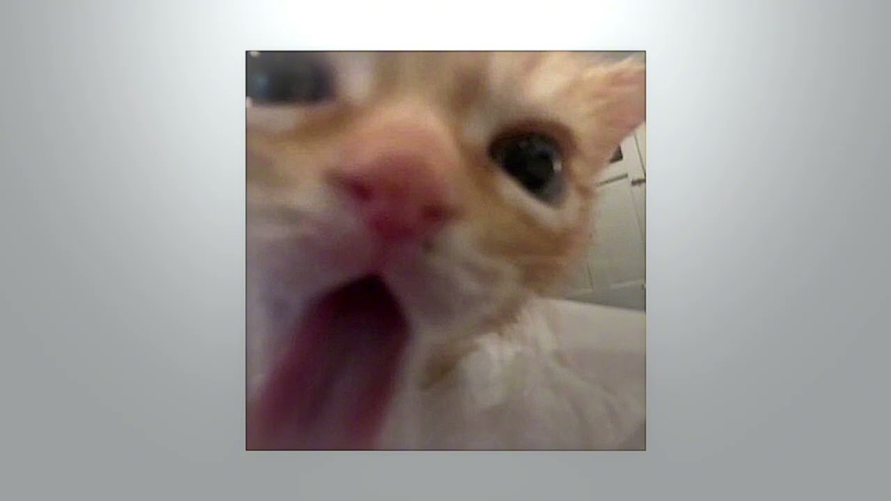 ִ ࣪𖤐. Random TikTok audios ‧₊˚✩彡 | #35