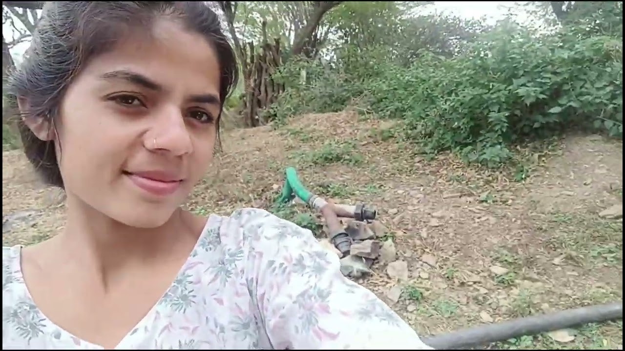 Aaj ke din ki shuruaat#Nature's peace🕊️🌿🍂🤗👍