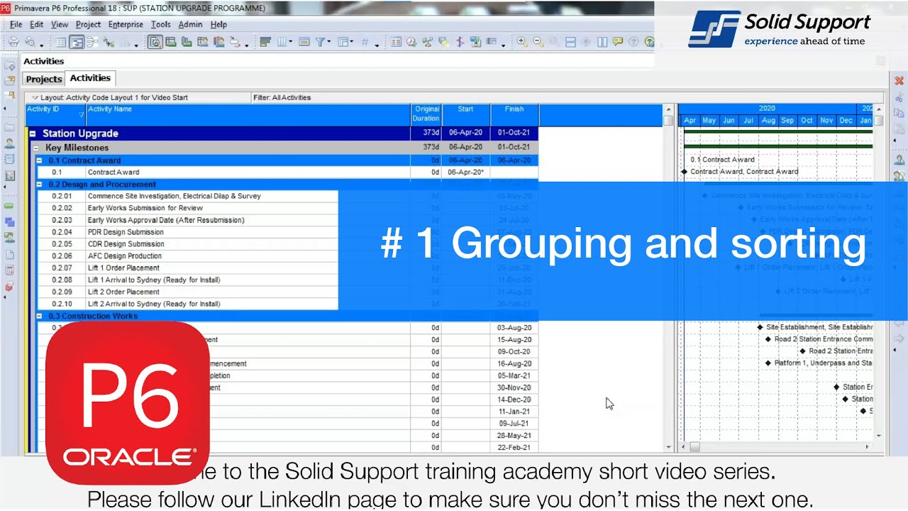 Grouping and Sorting - P6 quick tip # 1