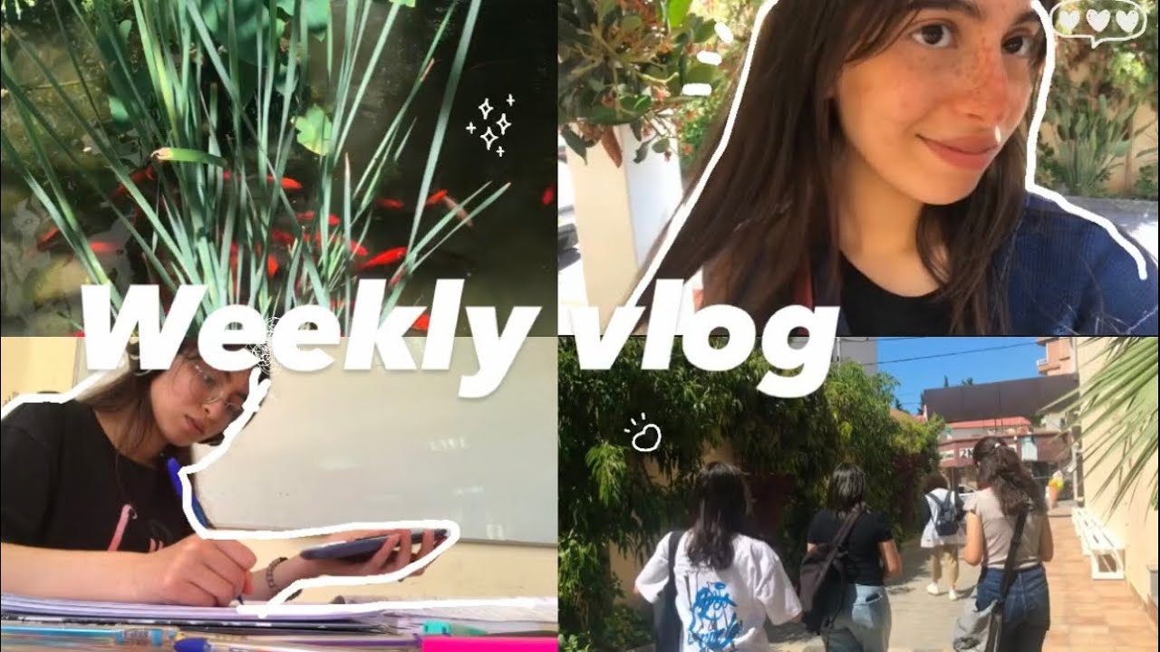 Weekly Vlog: BAC 2023 diaries /study sessions /having fun with my friends 