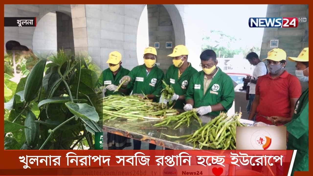 বাংলাদেশ থেকে প্রথমবারের মতো নিরাপদ সবজি রপ্তানি হচ্ছে ইউরোপে 23May.21| Vegetable Export | Khulna