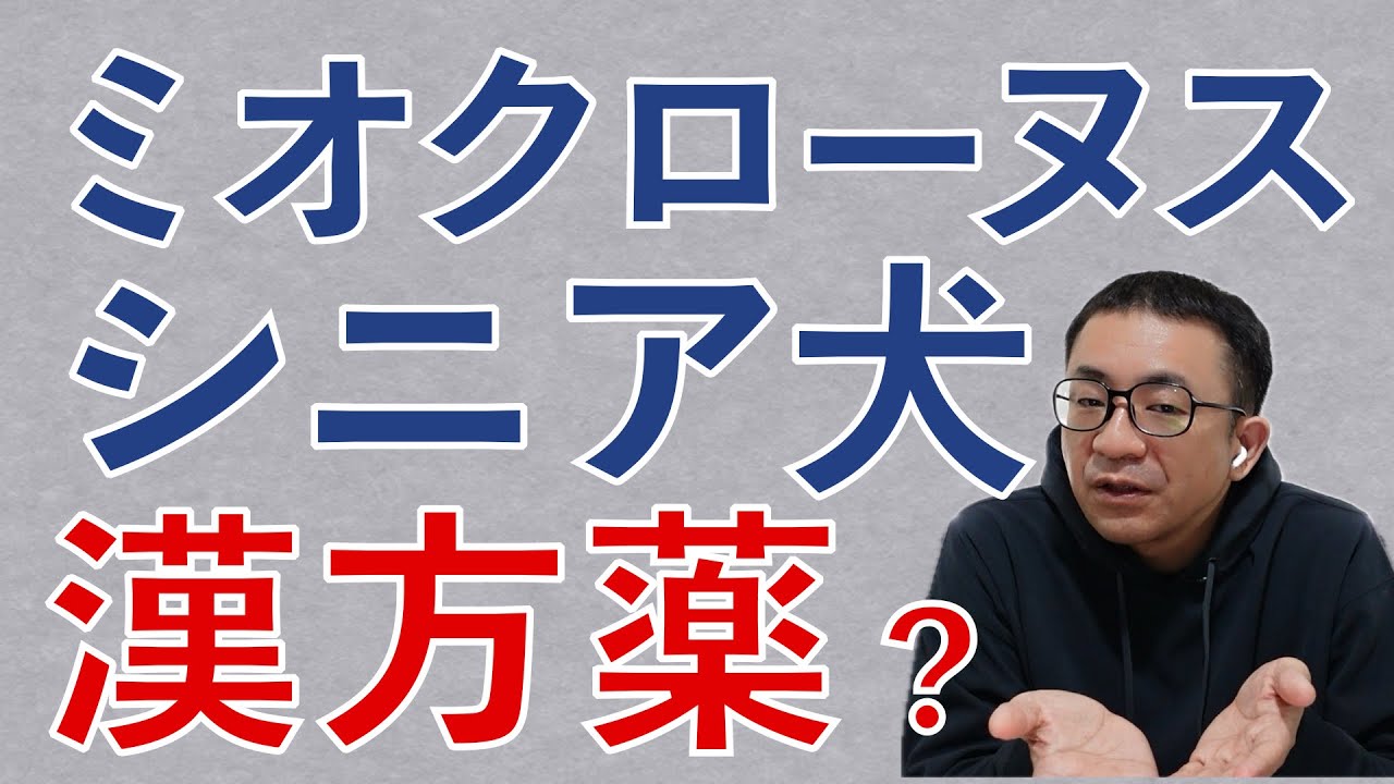 ミオクローヌスに漢方薬を服用中のハイシニア犬。他の取り組みは？