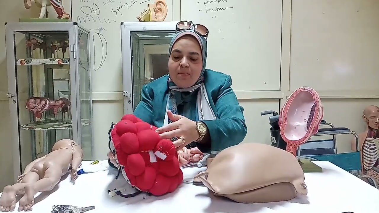 placenta examination and cord care