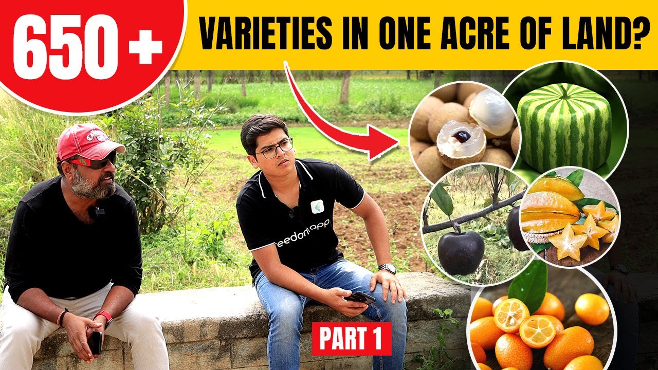 Farm Land Exploration | 650+ Varieties in One Acre of Land | Part -1