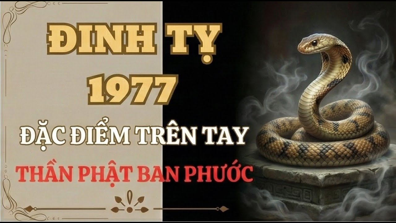 Đinh Tỵ 1977: Sở Hữu 8 Đặc Điểm Này Trên Tay Là Có Căn Tu, Gia Tiên Độ Mạng, Thần Phật Chở Che 🐍