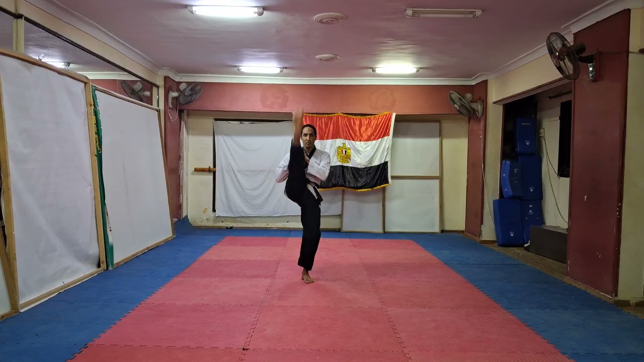 Ahmed Mohamed Abdallah - Under 50 - Poomsae Jitae