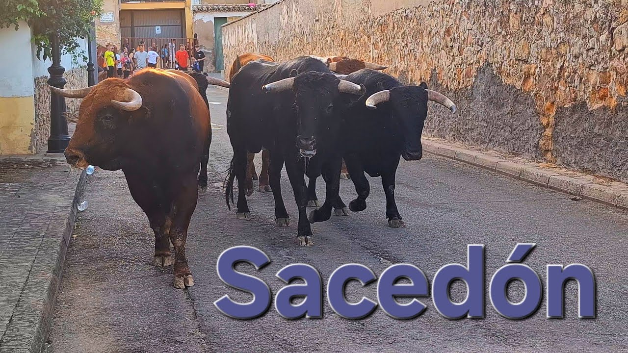 Encierro Sacedón 2025  🐂