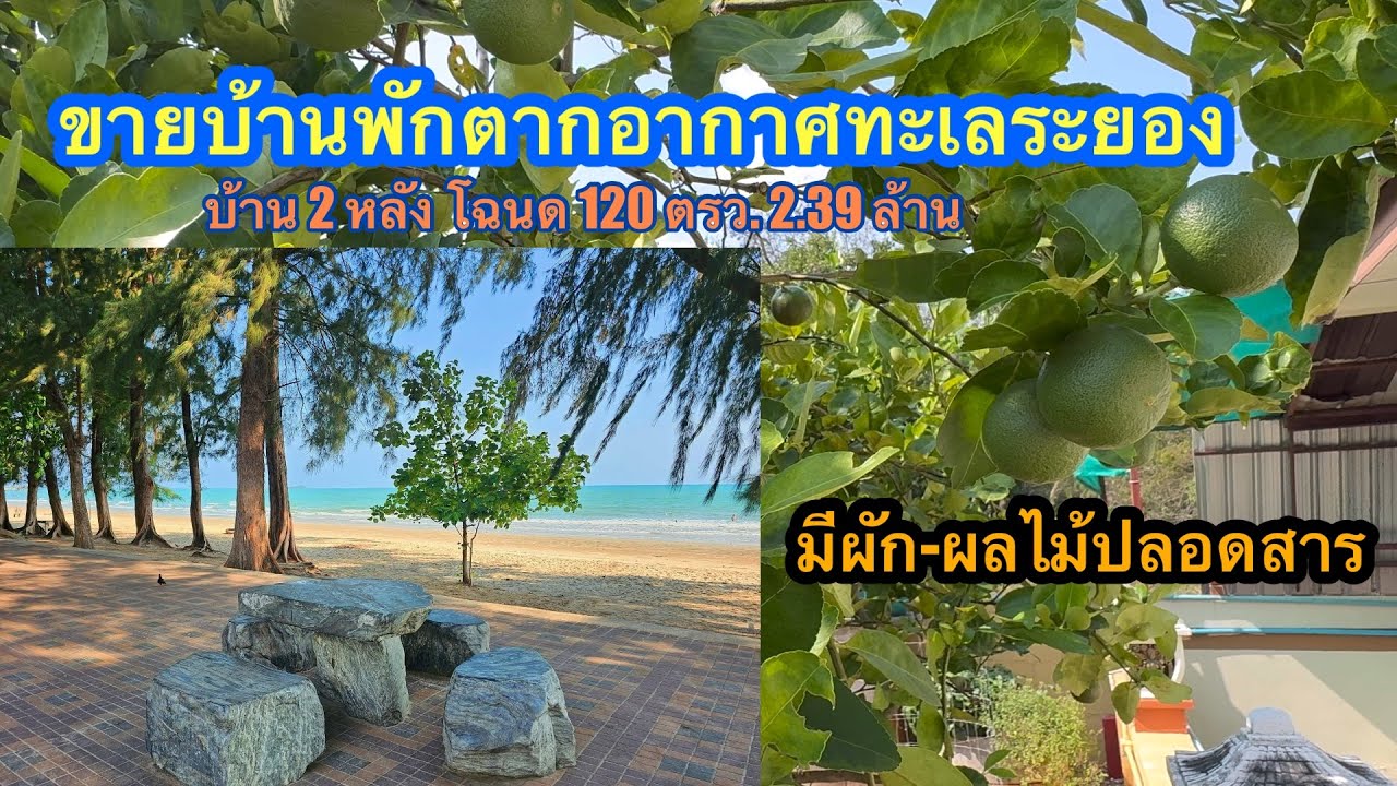 Ep.561 ขายบ้านพักตากอากาศทะเลระยอง บ้าน2หลังโฉนด120ตรว.2.39 ล้านฟรีโอน0890986866