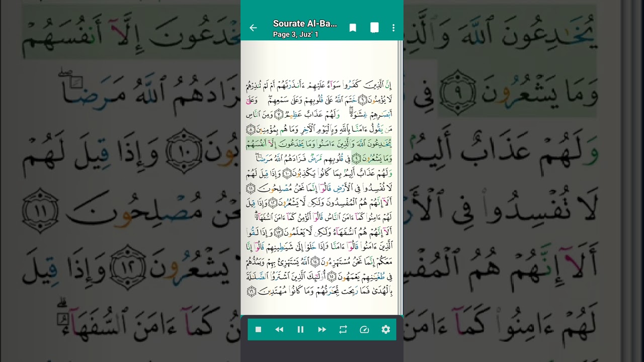 سورة البقرة 