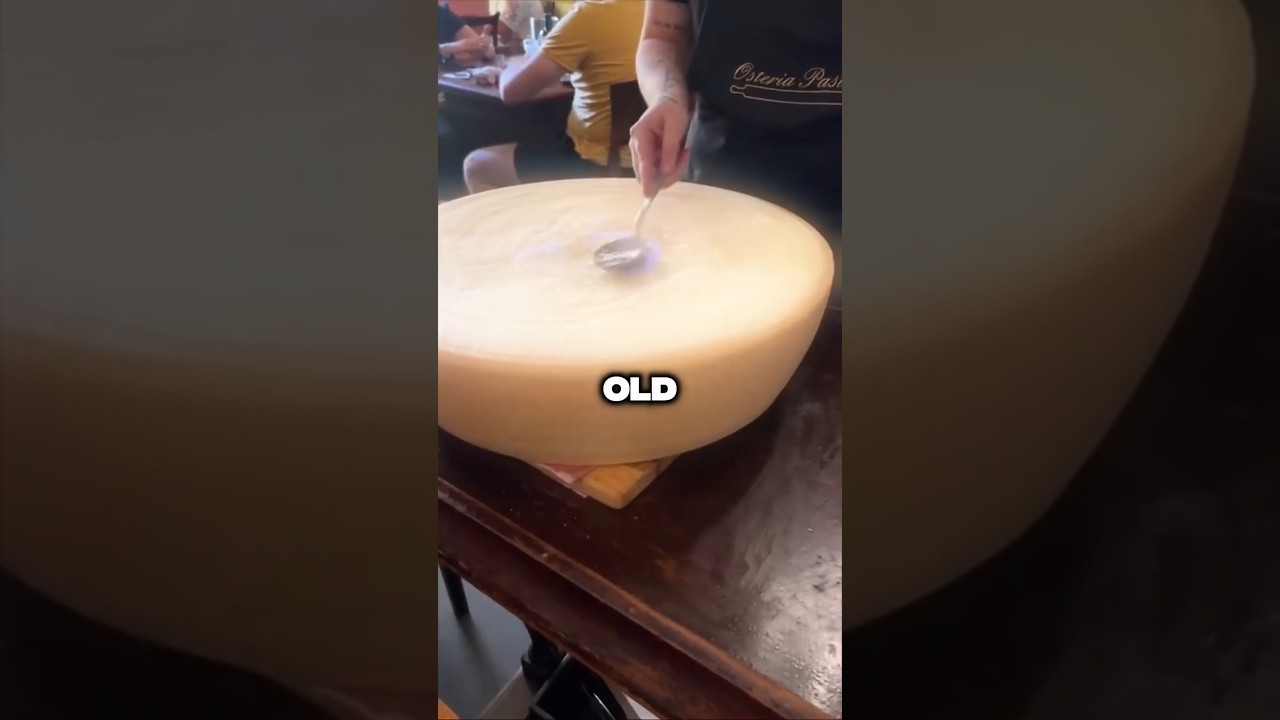 The History of Cheese 🧀
