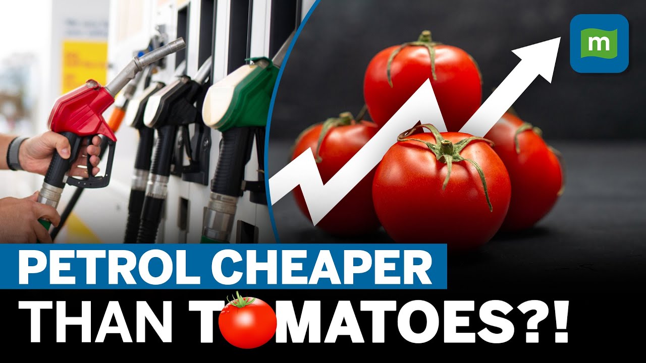 Tomato Price Hike: How A Virus In Bengaluru&rsquo;s Backyard Sent Tomato Prices Soaring | Explained