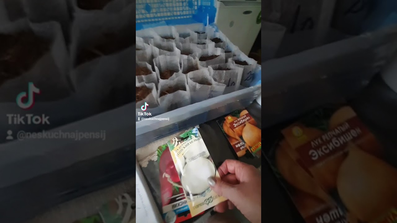 Часть3. Сажаем горький перец и баклажаны. Готовим семена лука и ящик для посадки.