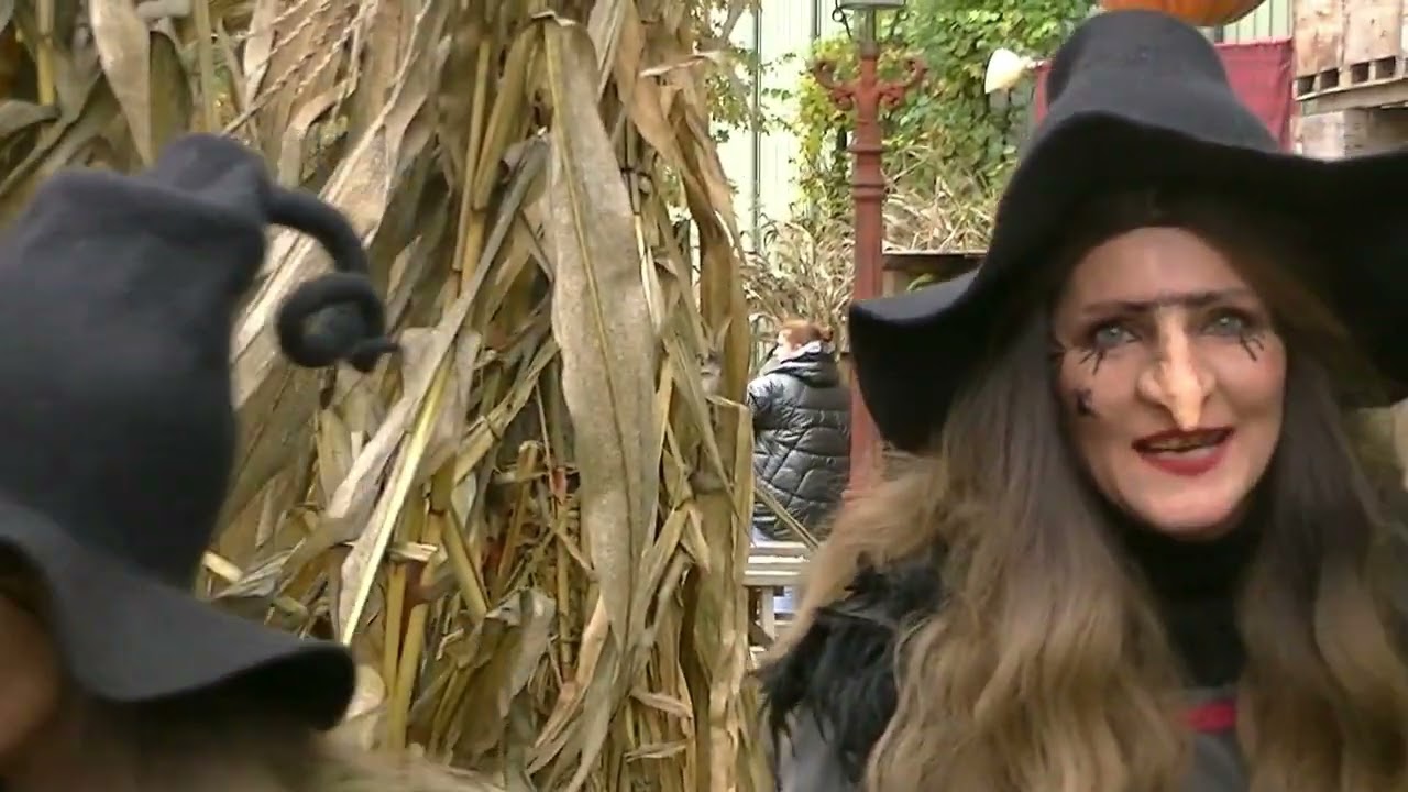 Toverland 2024 | Halloween