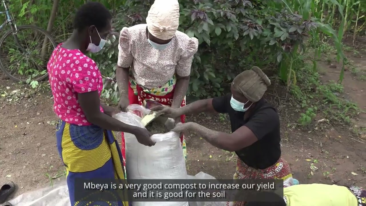 What do you know about mbeya?