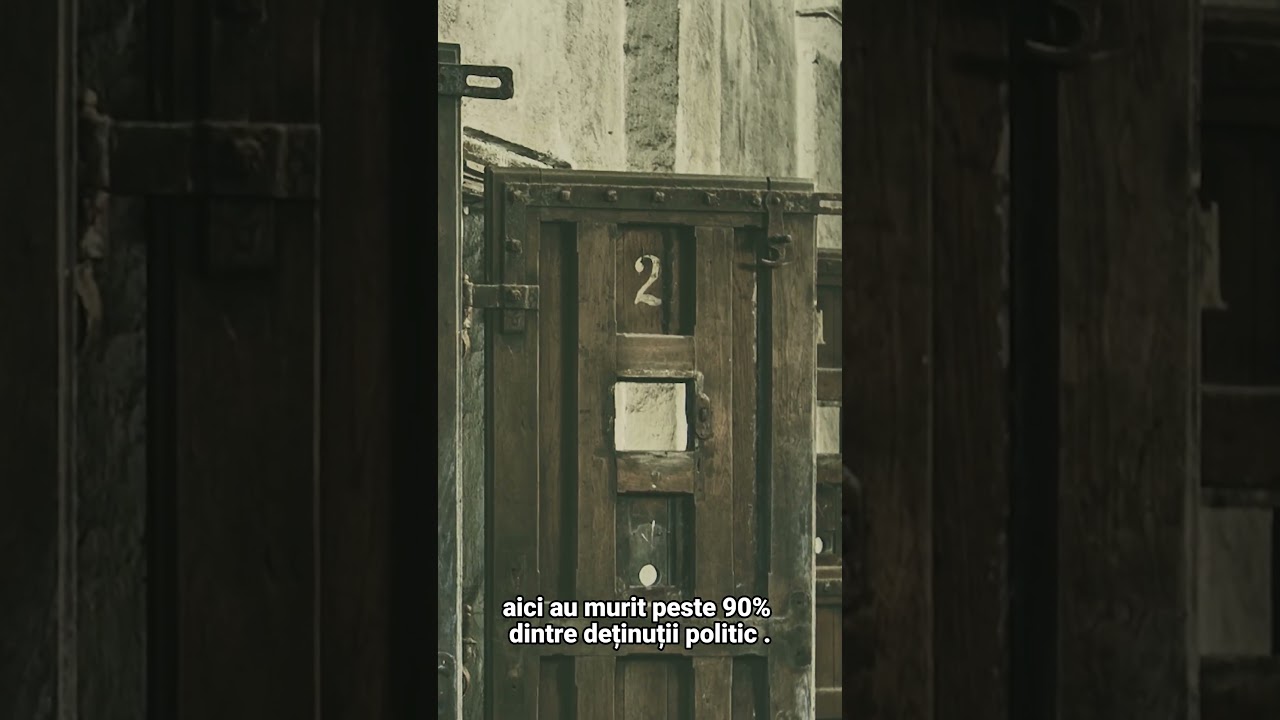Corneliu Coposu &icirc;n &icirc;nchisorile comuniste. Vezi &icirc;ntregul portret animat pe Historical Vignettes.