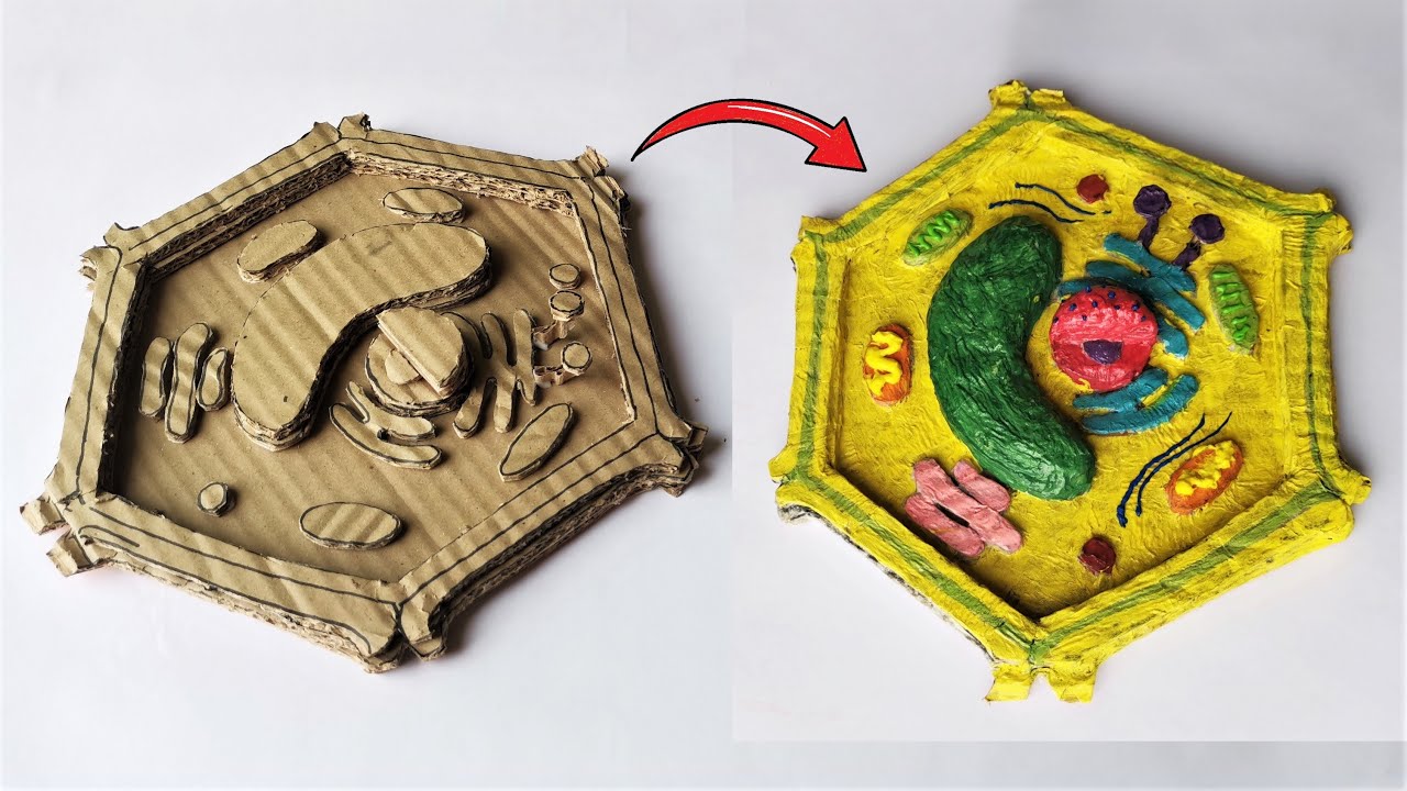 Cardboard Plant Cell Model | DIY Project | Holiday Homework