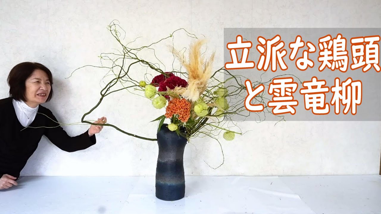 【立派な鶏頭と雲竜柳をいける】_フウセントウワタ_秋の花