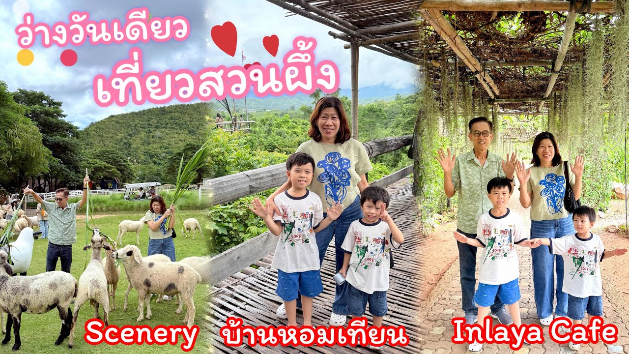 ว่างวันเดียว เที่ยวสวนผึ้ง | ฟาร์มแกะ Scenery | ครัวดินศิลปะ | บ้านหอมเทียน | Inlaya Cafe