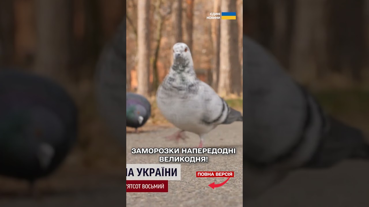 КИЇВ ЗАМОРОЗИЛО! -3 ГРАДУСИ ВНОЧІ! Що з погодою на ВЕЛИКДЕНЬ?!
