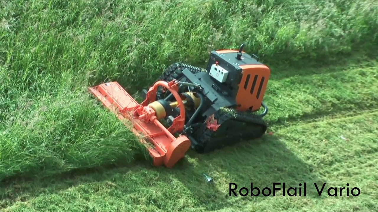 Saltex Promo 2018