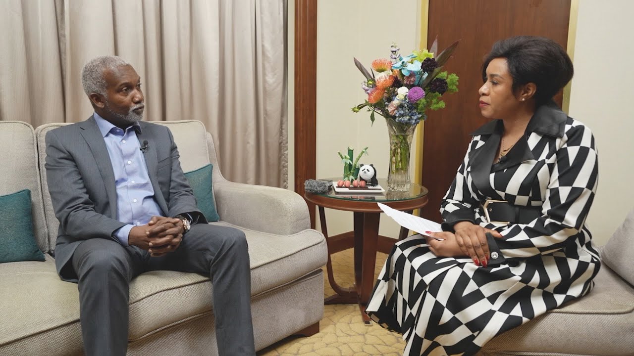 Nigerian foreign minister: NEVs, digital economy are key areas for cooperation with China