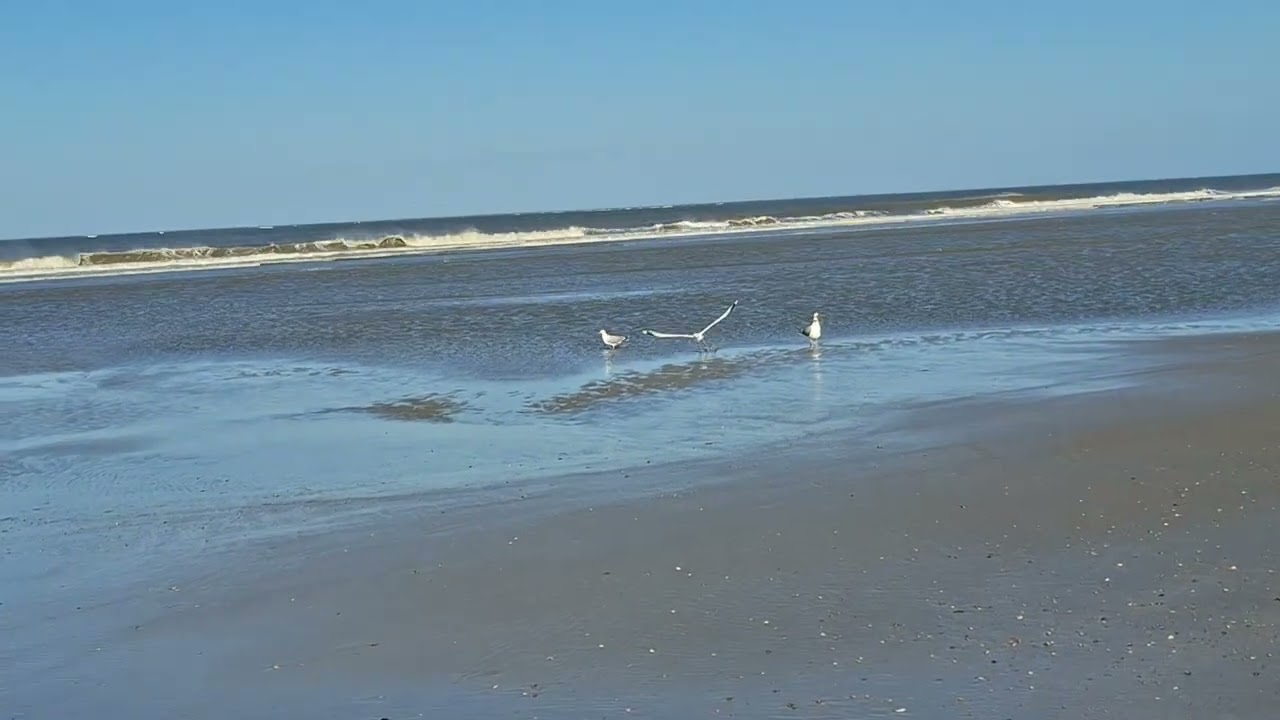 2026 03 Borkum Ufer bei Sonne und Wind