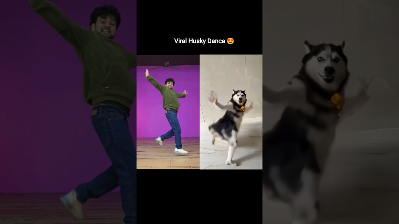 Viral Husky Dance Tutorial 😍 | Ajay Poptron Dance