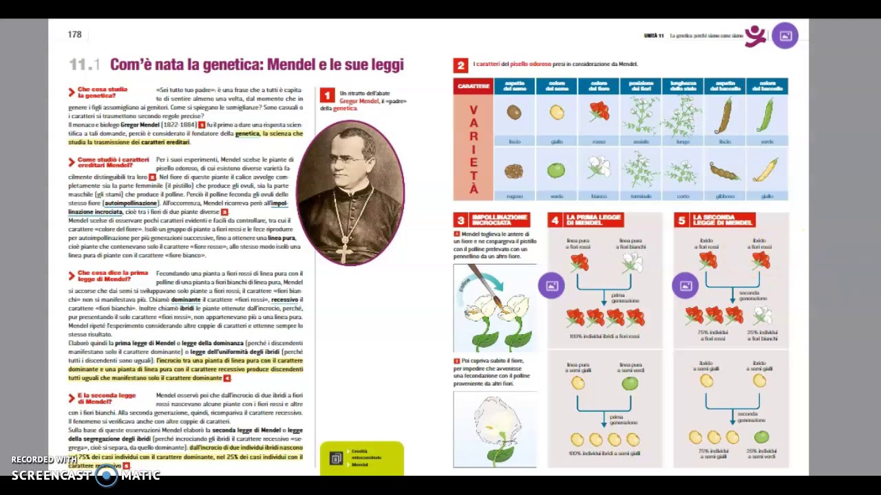 Le leggi di Mendel parte prima