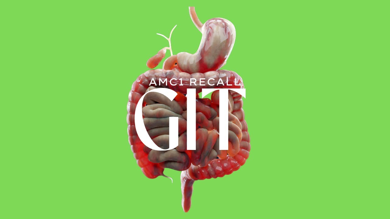 AMC Recall Q #14 - GIT
