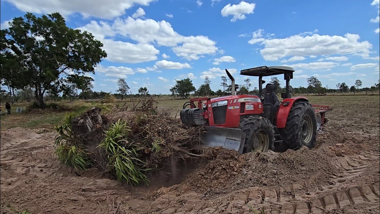 เจอรถใหญ่ๆแบบนี้ ตอไหนก็ไม่เหลือ #masseyferguson4708